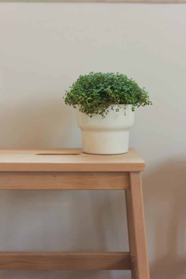 Apartment Garden *